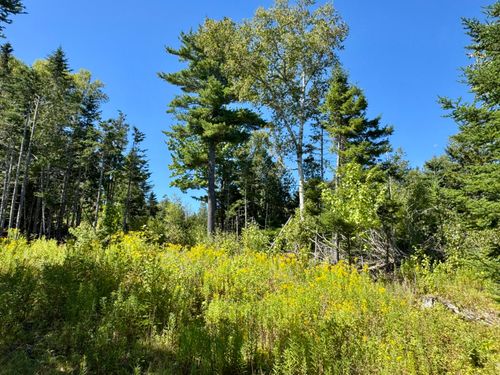 13 Red Rock Estates, Pembroke, ME, 04666 | Card Image