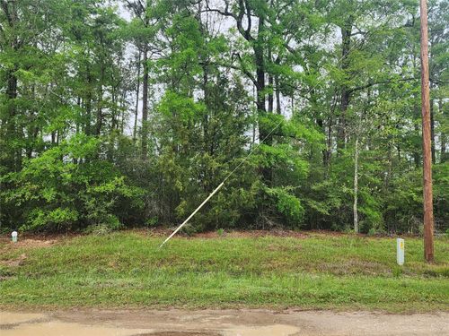 TBD Cloverdale, Livingston, TX, 77351 | Card Image