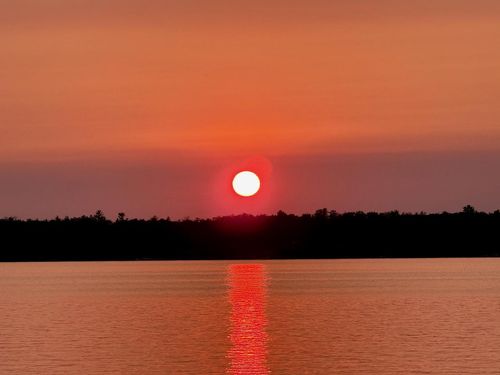 38727 Sunset Bay Rd, Sturgeon Lake, MN, 55783-3546 | Card Image