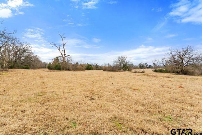 15037 State Highway 110, Home with 0 bedrooms, 0 bathrooms and null parking in Van TX | Image 47