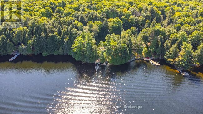 1358 Kushog Lake Rd, House other with 4 bedrooms, 3 bathrooms and 6 parking in Algonquin Highlands ON | Image 8