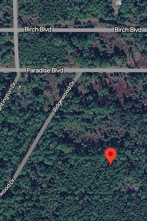 215 Laisy Dr, Georgetown, FL, 32139 | Card Image