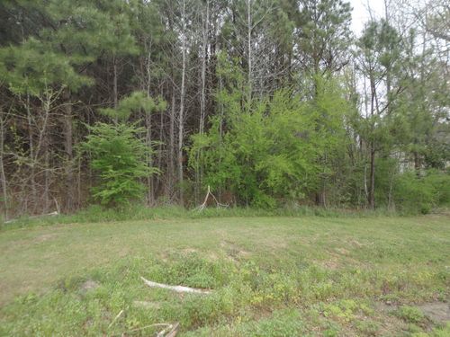 0 3rd St Se, Hanceville, AL, 35077 | Card Image