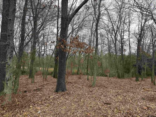 TBD Florence St. Lot 7, Grand Saline, TX, 75140 | Card Image