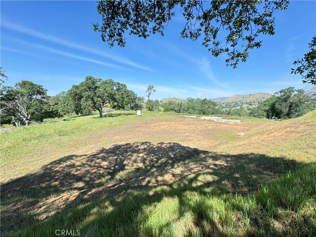 Land in Catheys Valley 3