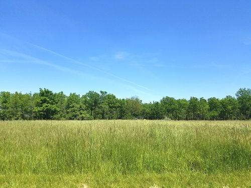 Lot 78 Lake Wildwood Drive, Varna, IL, 61375 | Card Image