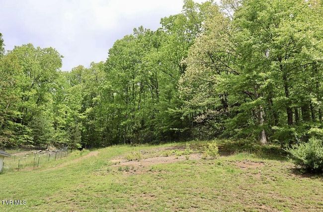 3219 Dungannon Rd, House other with 3 bedrooms, 3 bathrooms and null parking in Coeburn VA | Image 61