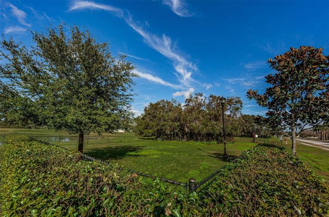 14008 Lugano Ct, House other with 3 bedrooms, 3 bathrooms and null parking in HUDSON FL | Image 91