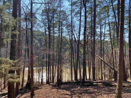 17 Southridge Dr, Mount Ida, AR, 71957-8802 | Card Image