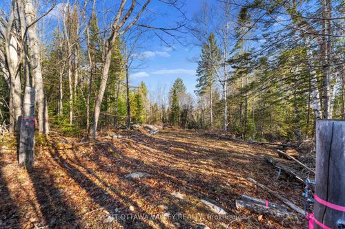 00 Siberia Rd, Barrys Bay, ON, K0J1B0 | Card Image