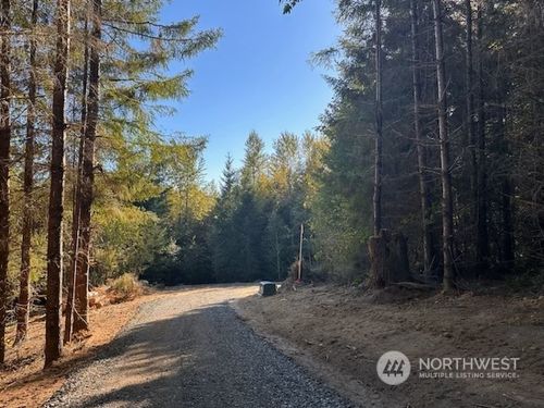 lot-1-0 Misty Hill Road, Toutle, WA, 98649 | Card Image