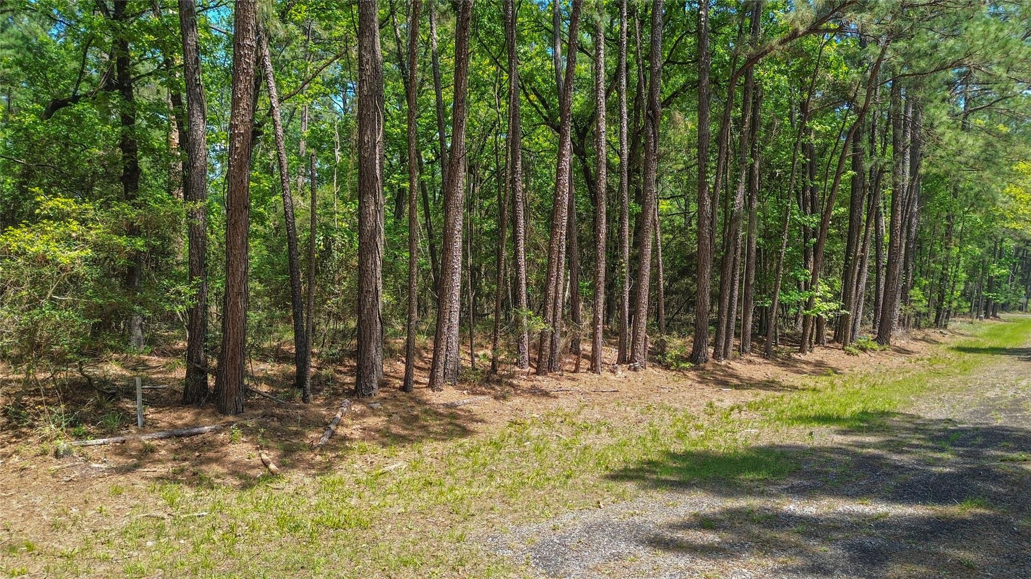 Land in Huntsville 2