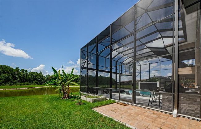 29038 Picana Ln, House other with 4 bedrooms, 4 bathrooms and null parking in WESLEY CHAPEL FL | Image 79