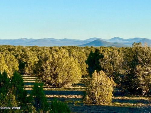 --9023 Appaloosa Trl Lot A, 5 Acres --, Show Low, AZ, 85901 | Card Image