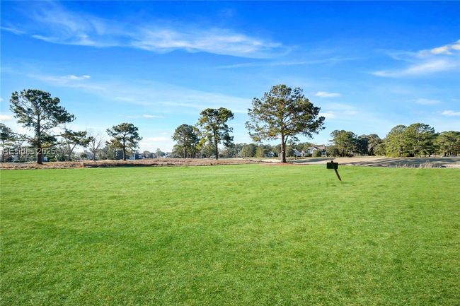 31 Carrier Blf, Home with 0 bedrooms, 0 bathrooms and null parking in Bluffton SC | Image 11