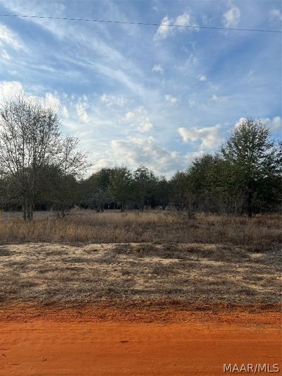 Lot 41 Deer Loop, Home with 0 bedrooms, 0 bathrooms and null parking in Camden AL | Image 1