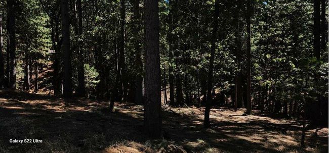 5701 Lupin Lane, Home with 0 bedrooms, 0 bathrooms and null parking in Pollock Pines CA | Image 10