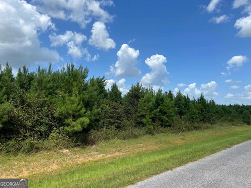 LOT 11 Old Vienna Rd, Elko, GA, 31025 | Card Image