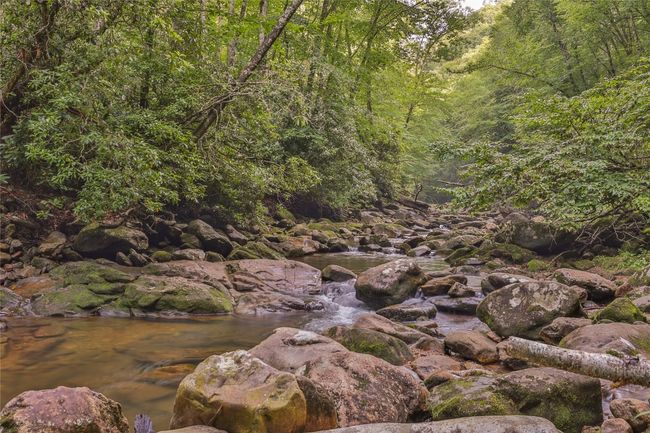 Community access to the Tuckasegee River | Image 98