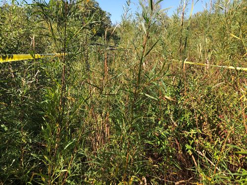 14 Alexandra Dr, Mettawa, IL, 60048-5403 | Card Image