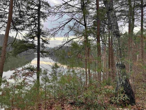 lot-2-00 Jackson Cove Road, Mill Spring, NC, 28756 | Card Image