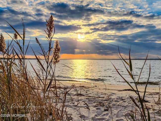 Copyright Richard Pasquarella Photography | Image 41