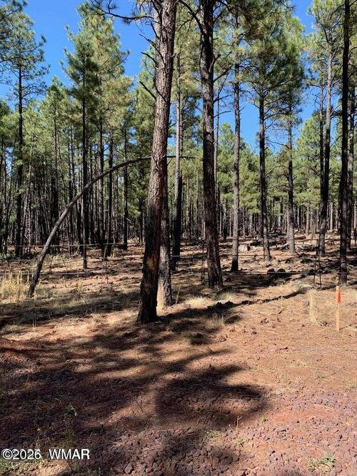 tbd-2 Dynamite Rd, Lakeside, AZ, 85929 | Card Image