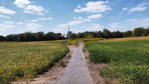 6400 County Road 9, Edison, OH, 43320-9736 | Card Image