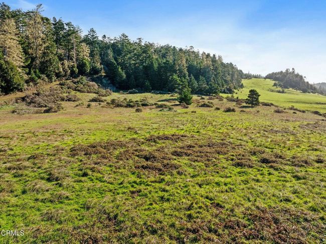 63-web-or-mls-20240208-20240208-DJI_2024 | Image 6