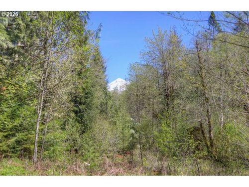 20284 E Carnarvon Dr, Rhododendron, OR, 97049-9636 | Card Image