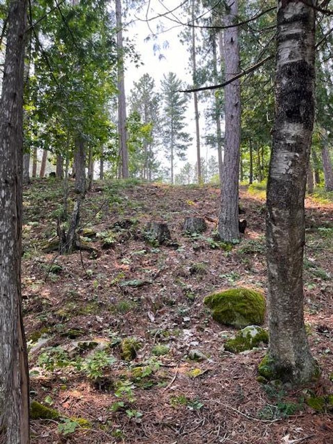 Some elevation from lake | Image 40