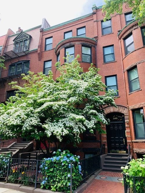 apt-8-395 Marlborough St, Boston, MA, 02115-1536 | Card Image