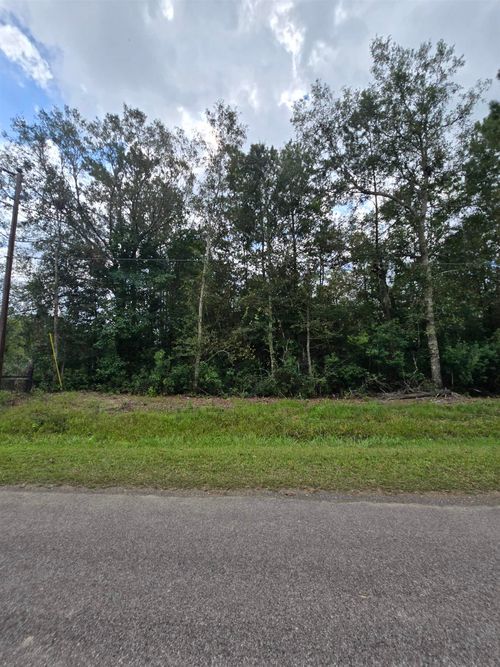 00 TBD Whitetail Forest Rd, Kountze, TX, 77625 | Card Image