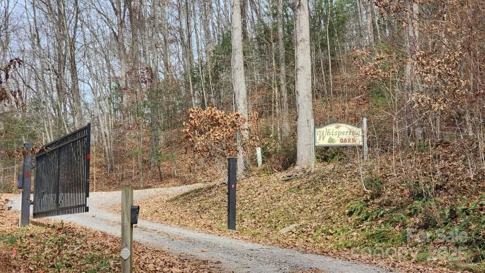 Land in Waynesville