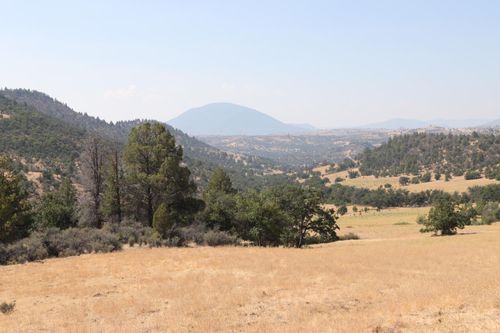11220 Yellow Dog Trl, Hornbrook, CA, 96044 | Card Image