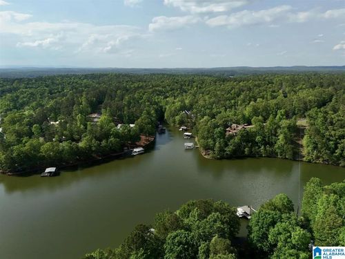 123-Lots 123 Red Cedar Drive, Wedowee, AL, 36278 | Card Image