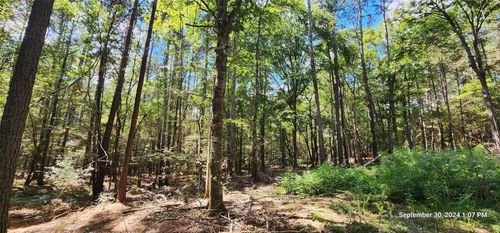 TBD County Road 405, San Augustine, TX, 75972 | Card Image