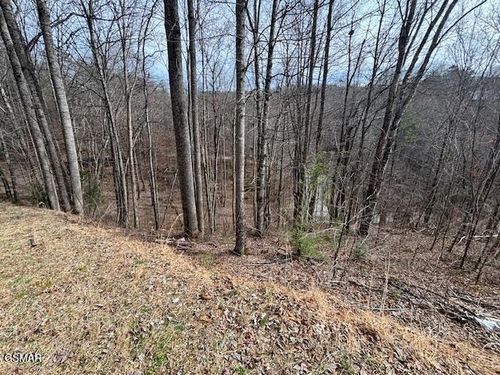 Lot 444 Sky View, Sevierville, TN, 37876 | Card Image