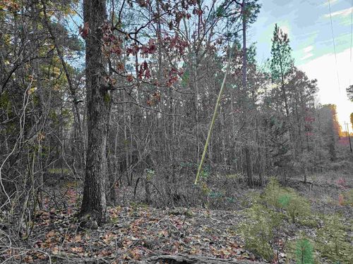 9557 Fm 726 S, Gilmer, TX, 75645-7275 | Card Image