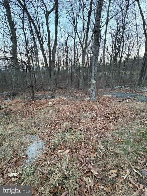 LOT 245 Inca Trail, WINCHESTER, VA, 22602 | Card Image