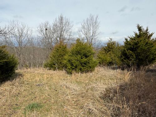 0 Mattox Rd, Falmouth, KY, 41040 | Card Image