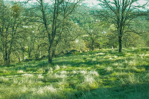 10597 Enramada Dr, La Grange, CA, 95329-8626 | Card Image