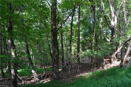 tract-f-114-ac-00 Hanging Rock Forest Road, Danbury, NC, 27016 | Card Image