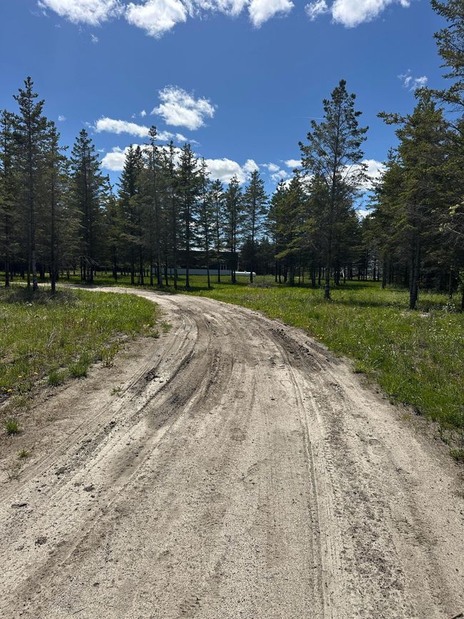 driveway.jpg | Image 16
