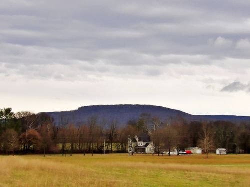 774 Sherrell Rd, Hillsboro, TN, 37342-3904 | Card Image