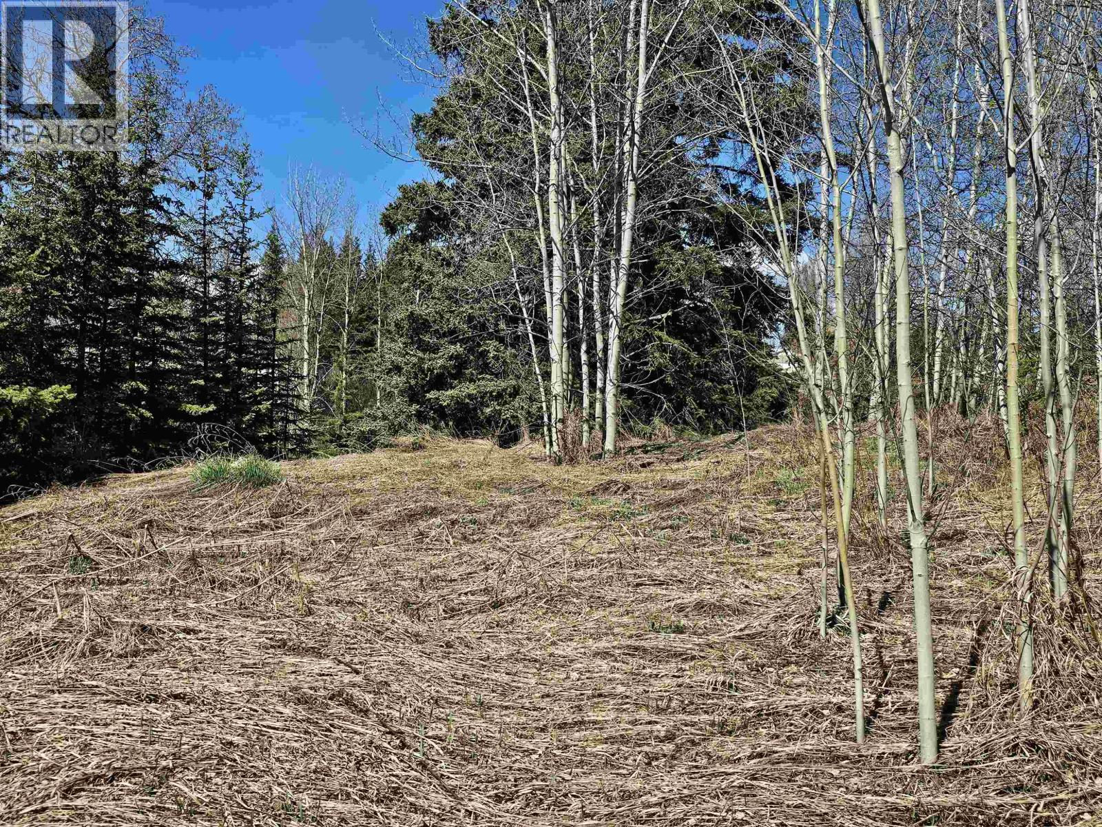 Land in Burns Lake