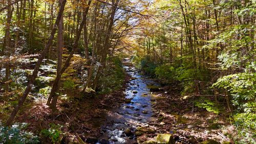 2453 Channell Rd, Mill Creek, WV, 26280 | Card Image
