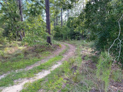 0 Putnam Ave, ALFORD, FL, 32420 | Card Image