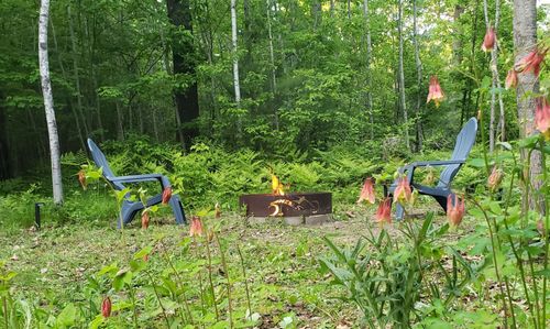 25322 Mansfield Rd, Webster, WI, 54893-8617 | Card Image