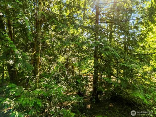 0 Beaver Pl, Sedro Woolley, WA, 98284 | Card Image